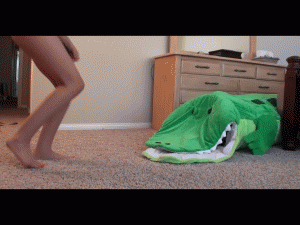 www.4tomiko.com - DON'T TRUST GATOR thumbnail