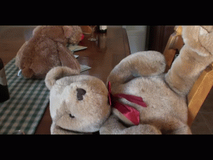 www.4tomiko.com - BEARY COP TREAT thumbnail