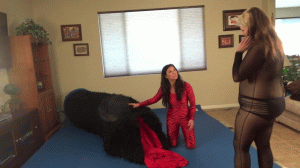 www.4tomiko.com - FEEDING TIME FOR CRISS CROSS thumbnail
