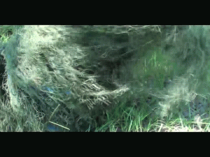 www.4tomiko.com - TRAIN WORM INVASION CLASSIC thumbnail