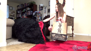 www.4tomiko.com - WILLING HOOTER GIRL MEAL thumbnail